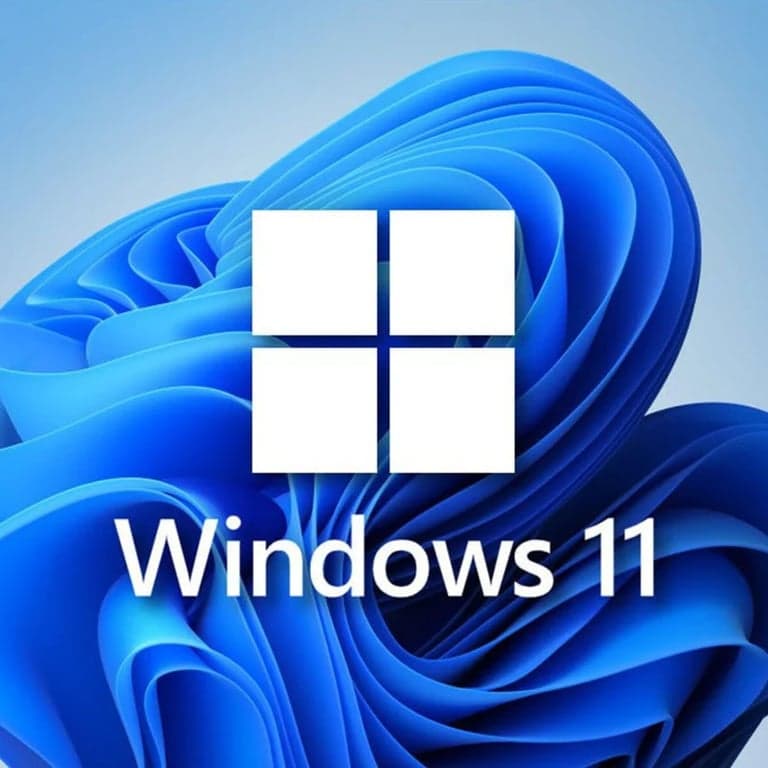 Windows 11 Pro